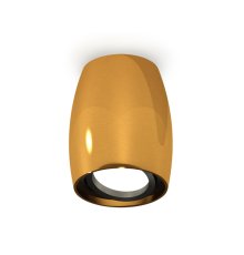 Накладной поворотный светильник Ambrella Light Techno XS1125002 (C1125, N7002)