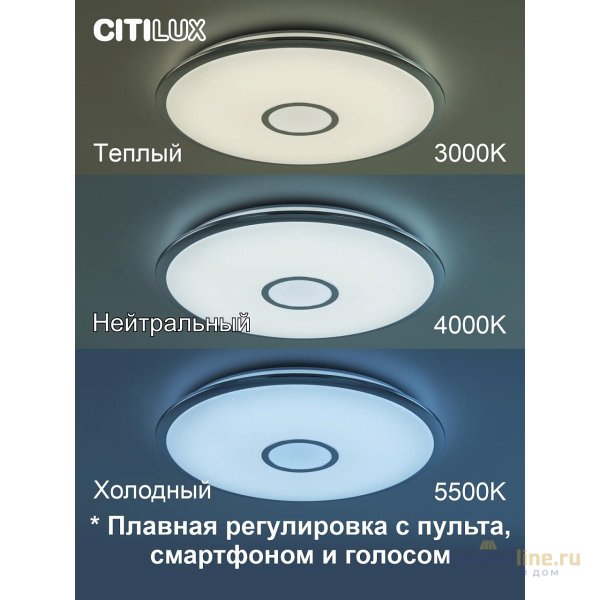 Накладной светильник Citilux CL703A80G Накладной светильник Citilux CL703A80G