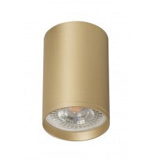 Накладной светильник Denkirs Tube DK2050-SG