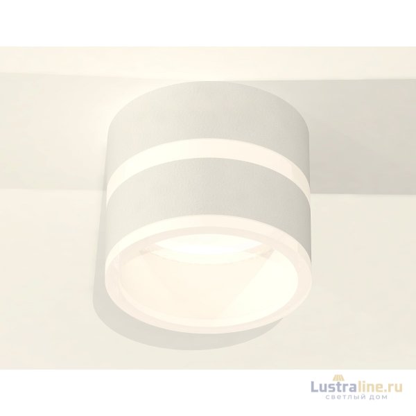 Потолочный светильник Ambrella Light Techno Spot XS8101019 (C8101, N8444)
