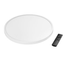 Накладной светильник Lightstar Arco 225346