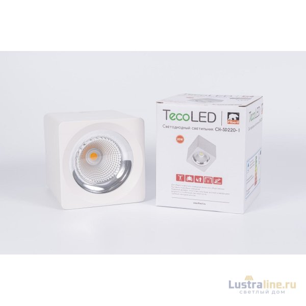Накладной светильник Fiberli CH-SD220-1 12120101 Накладной светильник Fiberli CH-SD220-1 12120101