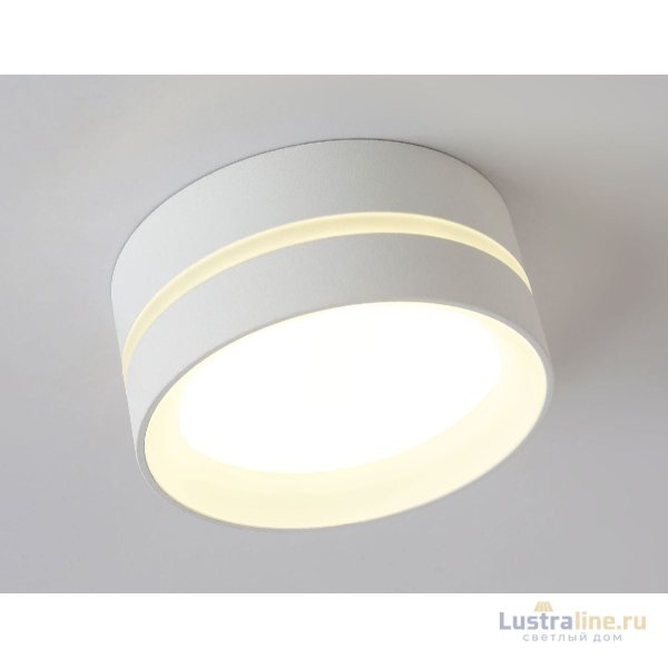 Накладной светильник Ambrella Light IP Protect TN5391