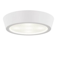 Потолочный светодиодный светильник Lightstar Urbano 214902