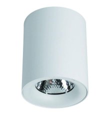 Потолочный светодиодный светильник Arte Lamp Facile A5112PL-1WH