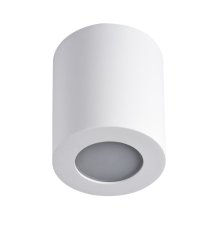 Накладной светильник Kanlux Sani IP44 DSO-W 29241