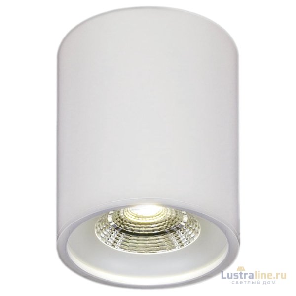 Накладной светильник Reluce 81117-9.5-001RT LED10W WT Накладной светильник Reluce 81117-9.5-001RT LED10W WT