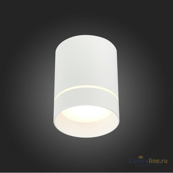 Накладной светильник ST Luce ST115 ST115.542.12 Накладной светильник ST Luce ST115 ST115.542.12