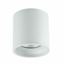 Накладной светильник ST Luce ST165.542.12