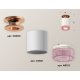 Потолочный светильник Ambrella Light Techno Spot XS6301202 (N6906, C6301, N6152)