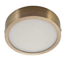 Накладной светильник AM Group AM294 12W AB 4000K R