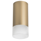 Накладной светильник Lightstar Rullo R44031 (214440+202431)