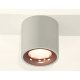 Потолочный светильник Ambrella Light Techno Spot XS7533025 (C7533, N7015)