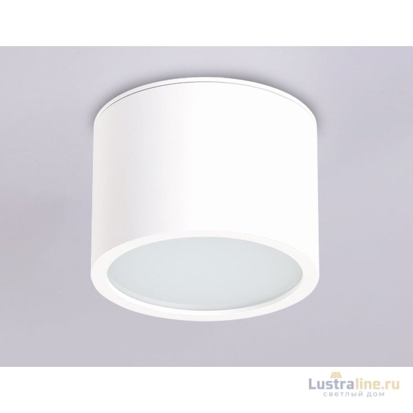 Накладной светильник Ambrella Light IP Protect TN6550