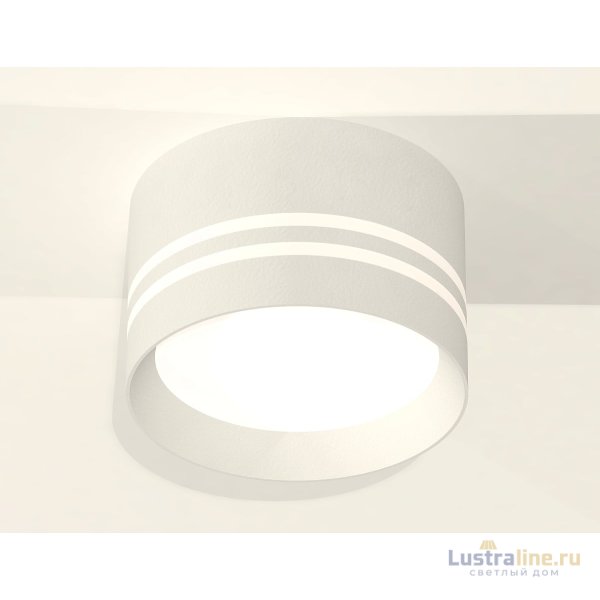 Потолочный светильник Ambrella Light Techno Spot XS8101021 (C8101, N8477)
