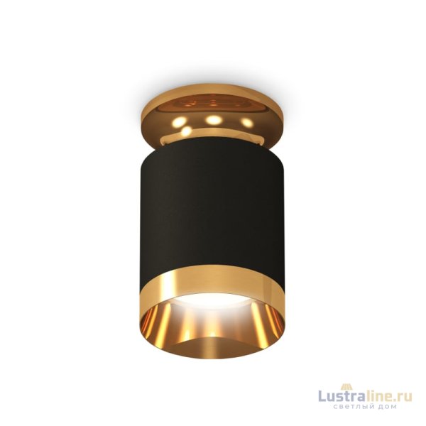 Потолочный светильник Ambrella Light Techno Spot XS6302160 (N6905, C6302, N6134) Потолочный светильник Ambrella Light Techno Spot XS6302160 (N6905, C6302, N6134)