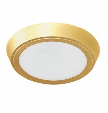 Накладной светильник Lightstar Urbano 216934
