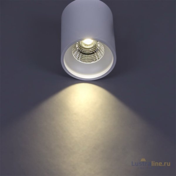 Накладной светильник Reluce 81117-9.5-001RT LED10W WT Накладной светильник Reluce 81117-9.5-001RT LED10W WT