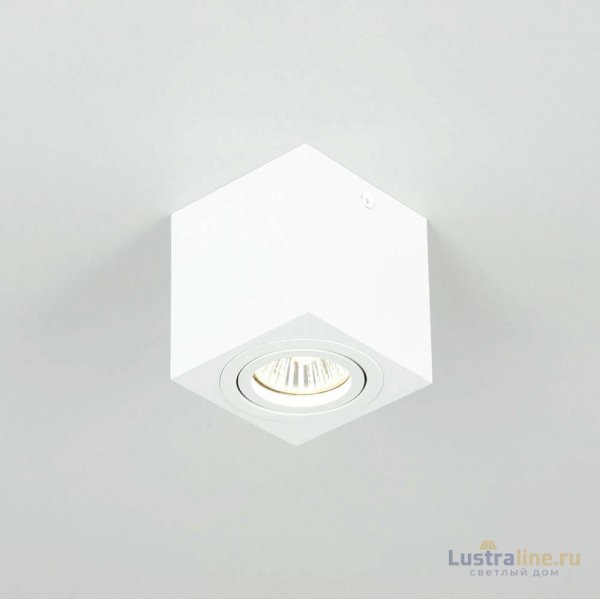 Потолочный светильник Citilux Дюрен CL538211 Потолочный светильник Citilux Дюрен CL538211