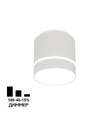 Накладной светильник Citilux Борн CL745010N