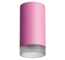 Накладной светильник Lightstar Rullo R43230 (214432+202430)