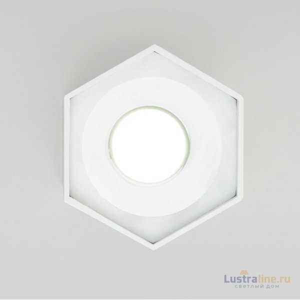 Накладной светодиодный светильник Elektrostandard 25037/LED 4690389176500
