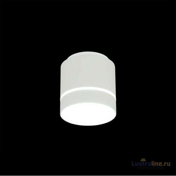 Накладной светильник Citilux Борн CL745020N