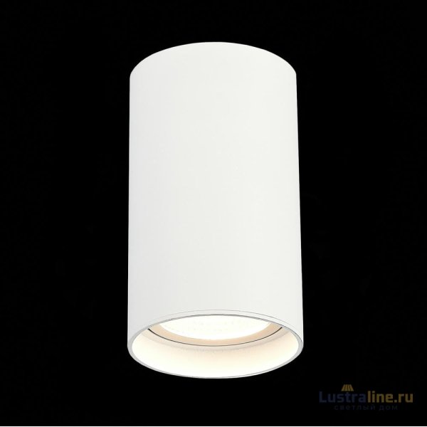 Накладной светильник ST Luce ST157.532.20 Накладной светильник ST Luce ST157.532.20