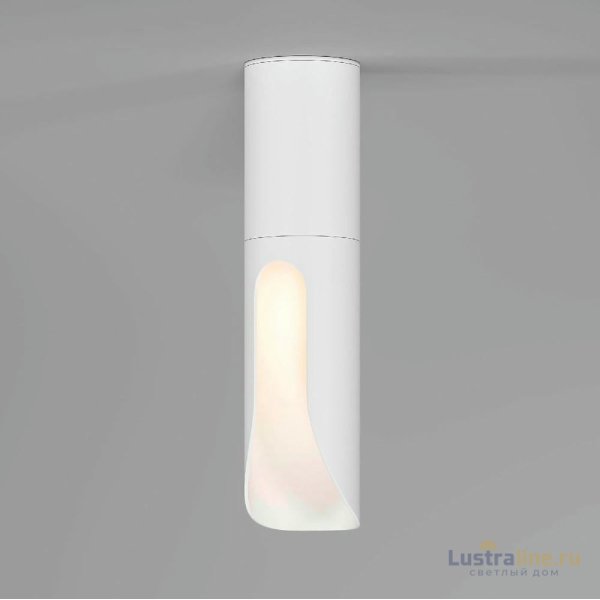 Накладной светильник Elektrostandard Apex 4690389208843 25113/LED a068289
