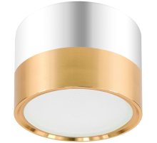 Накладной светильник ЭРА OL7 GX53 GD/CH Б0048532