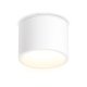 Накладной светильник Ambrella Light IP Protect TN6550
