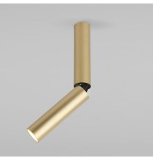Накладной светильник Elektrostandard Pika 4690389188237 a061110
