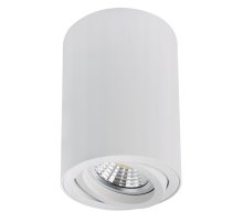 Накладной светильник Arte Lamp Sentry A1566PL-1WH