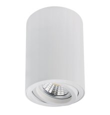 Накладной светильник Arte Lamp Sentry A1566PL-1WH