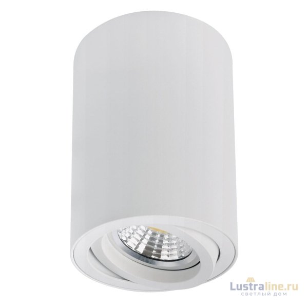 Накладной светильник Arte Lamp Sentry A1566PL-1WH