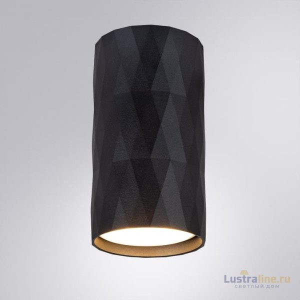 Накладной светильник Arte Lamp Fang A5557PL-1BK