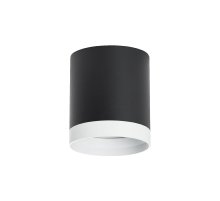 Накладной светильник Lightstar Rullo (213487+203486) R34873486