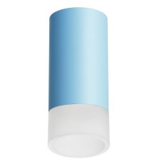 Накладной светильник Lightstar Rullo R43531 (214435+202431)