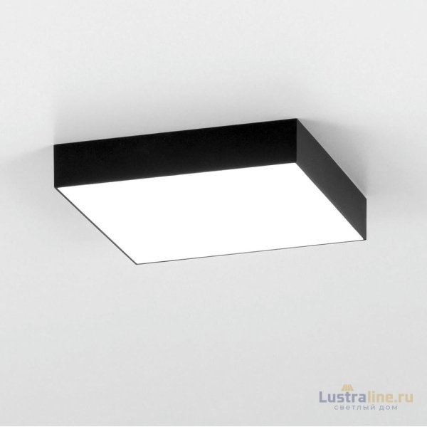 Накладной светодиодный светильник Citilux Тао CL712X242N