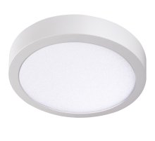 Накладной светильник Kanlux Carsa V2LED 24W-NW-W 33541