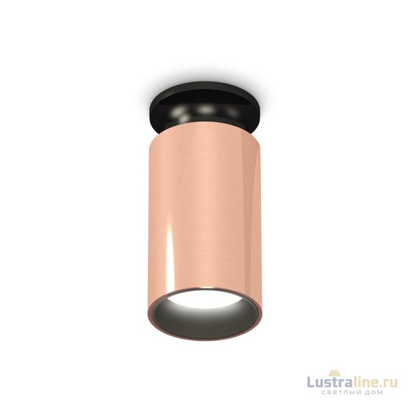 Потолочный светильник Ambrella Light Techno Spot XS6326101 (N6902, C6326, N6111) Потолочный светильник Ambrella Light Techno Spot XS6326101 (N6902, C6326, N6111)