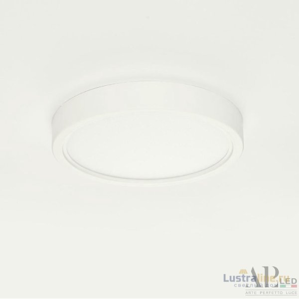 Накладной светильник Arte Perfetto Luce Ingrid 3322.LDY1604M/12W/6K Накладной светильник Arte Perfetto Luce Ingrid 3322.LDY1604M/12W/6K