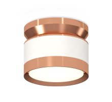 Потолочный светильник Ambrella Light Techno Spot XS8101065 (N8912, C8101, N8126)