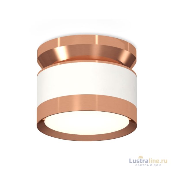 Потолочный светильник Ambrella Light Techno Spot XS8101065 (N8912, C8101, N8126)
