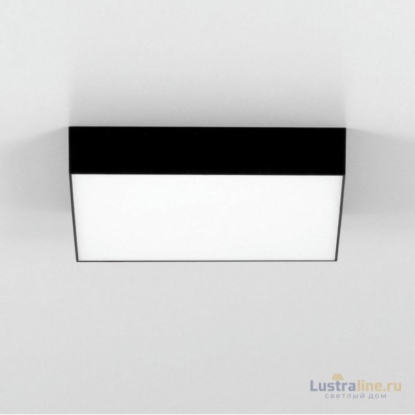 Накладной светодиодный светильник Citilux Тао CL712X242N