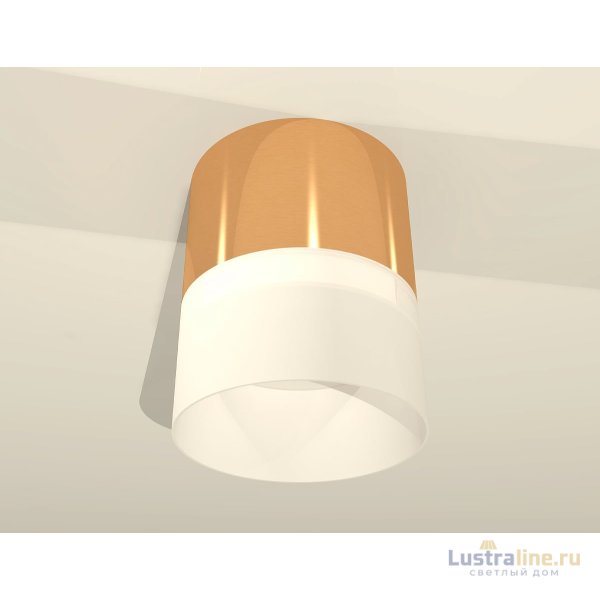 Потолочный светильник Ambrella Light Techno Spot XS8121011 (C8121, N8402)