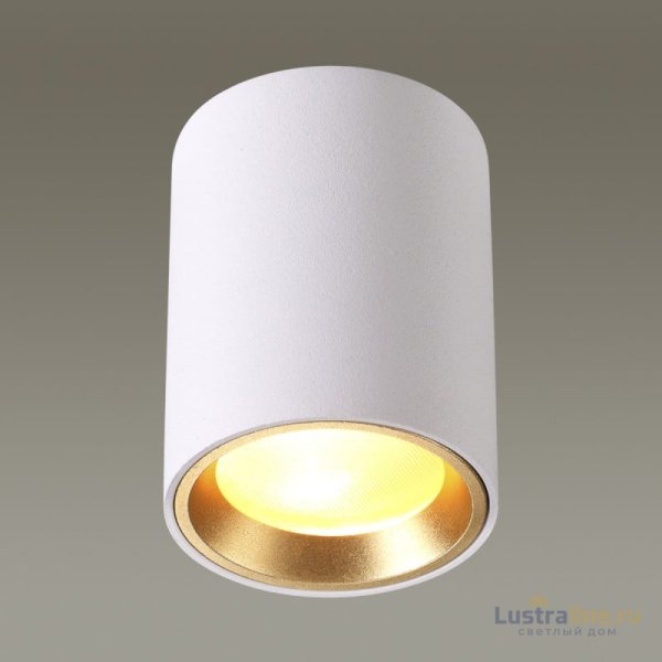 Накладной светильник Odeon Light 4206/1C