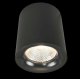 Потолочный светодиодный светильник Arte Lamp Facile A5118PL-1BK