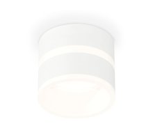 Потолочный светильник Ambrella Light Techno Spot XS8101019 (C8101, N8444)