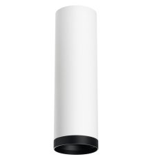 Накладной светильник Lightstar Rullo R64963487 (216496+203487)